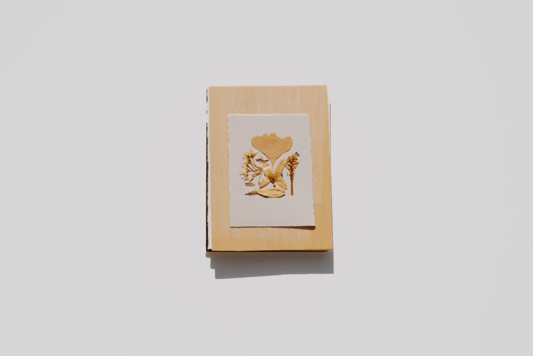 宝贵镜头露脸！山东舰辽宁舰并肩向前